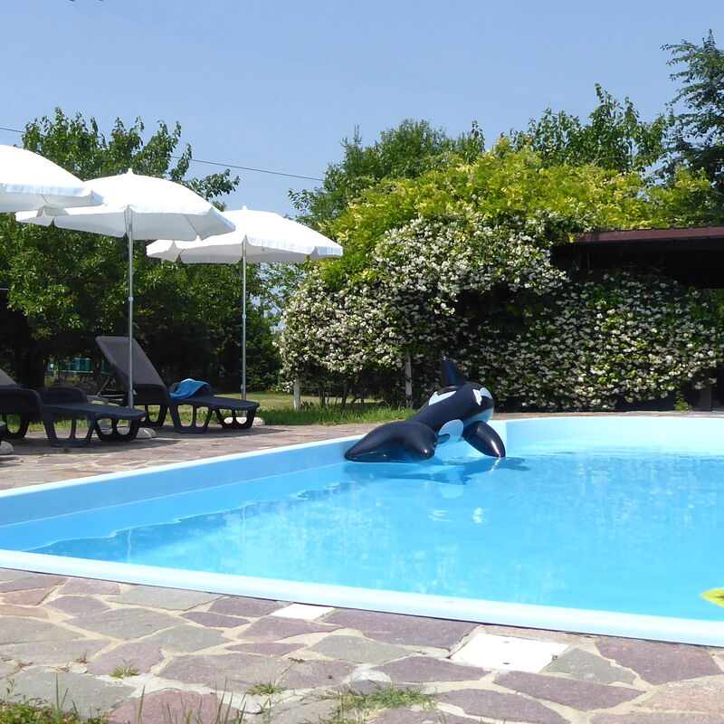Silea Apartments, Pool, Garden, Treviso: Autumn, Pool, Spring, Summer