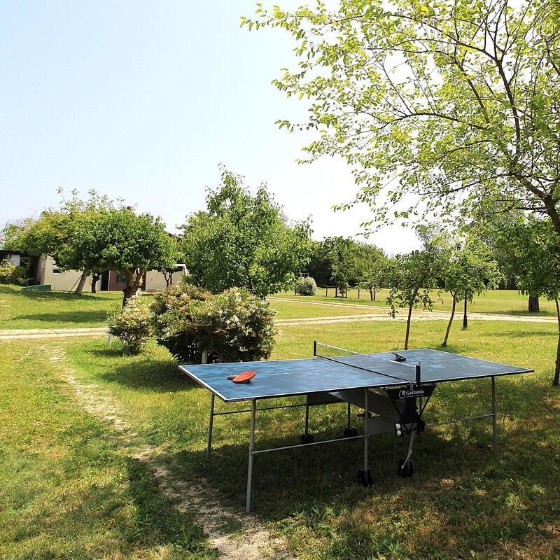 Silea Apartments, Pool, Garden, Treviso: Autumn, Garden, Spring, Summer