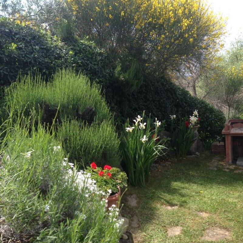 Casa Viola Pool, Wifi, Montaione: Autumn, Garden, Spring, Summer