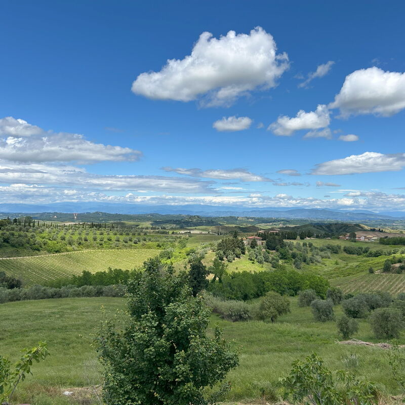 Belmonte Spereto Apartment With Pool, Montaione: Autumn, Scenic View, Spring, Summer