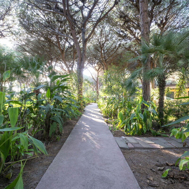 Nature & Country Resort Near The sea: Autumn, Building Exterior, Main Entrance, Spring, Summer, Winter