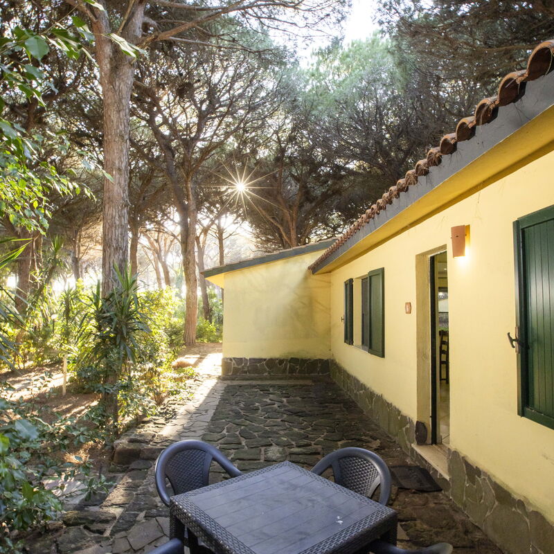 Nature & Country Resort Near The sea: Autumn, Building Exterior, Main Entrance, Spring, Summer, Winter