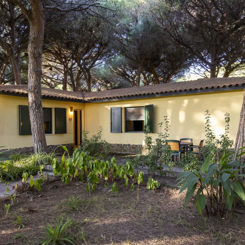 Nature & Country Resort Near The sea: Autumn, Building Exterior, Main Entrance, Spring, Summer, Winter