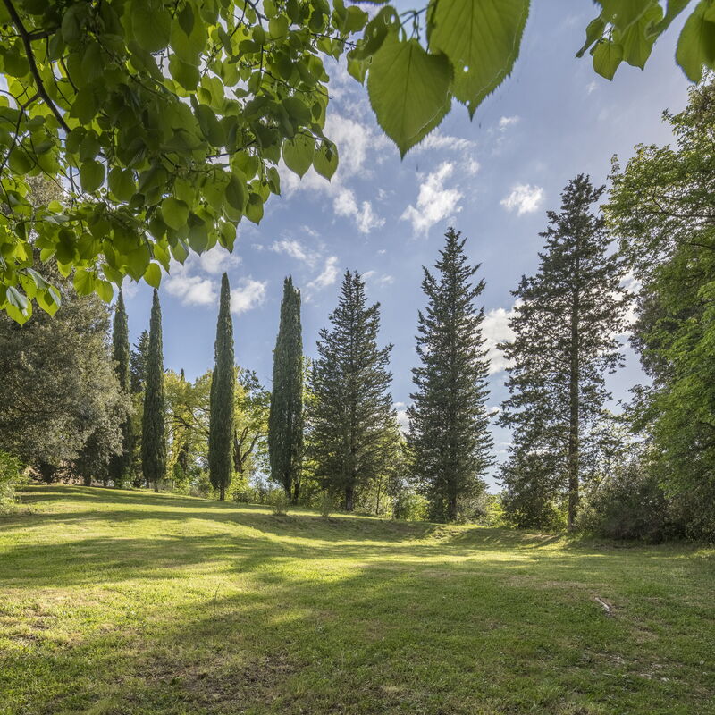 Cottage Monti Pet Friendly With Shared Pool: Autumn, Garden, Spring, Summer