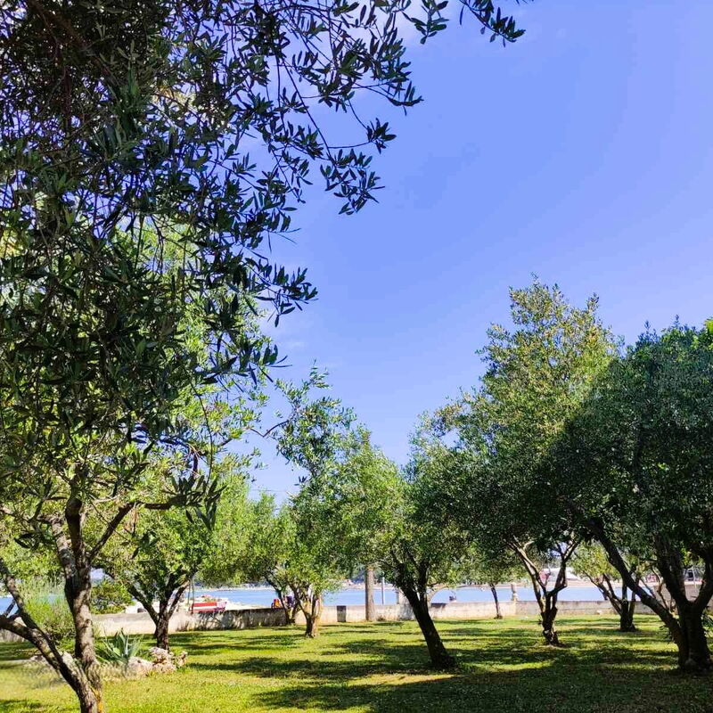 Residence Liveric Seafront: Autumn, Garden, Spring, Summer