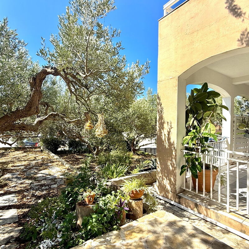 Appartamento Olive Garden, Ac, Wifi, Hvar: Autumn, Garden, Spring, Summer