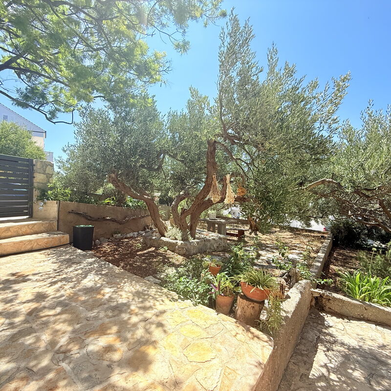 Appartamento Olive Garden, Ac, Wifi, Hvar: Autumn, Garden, Spring, Summer