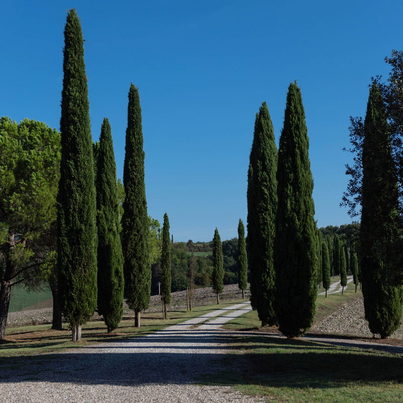 Country House In Tuscan Hills: Activities, Autumn, Building Exterior, Garden, Outdoor, Spring, Summer, Winter