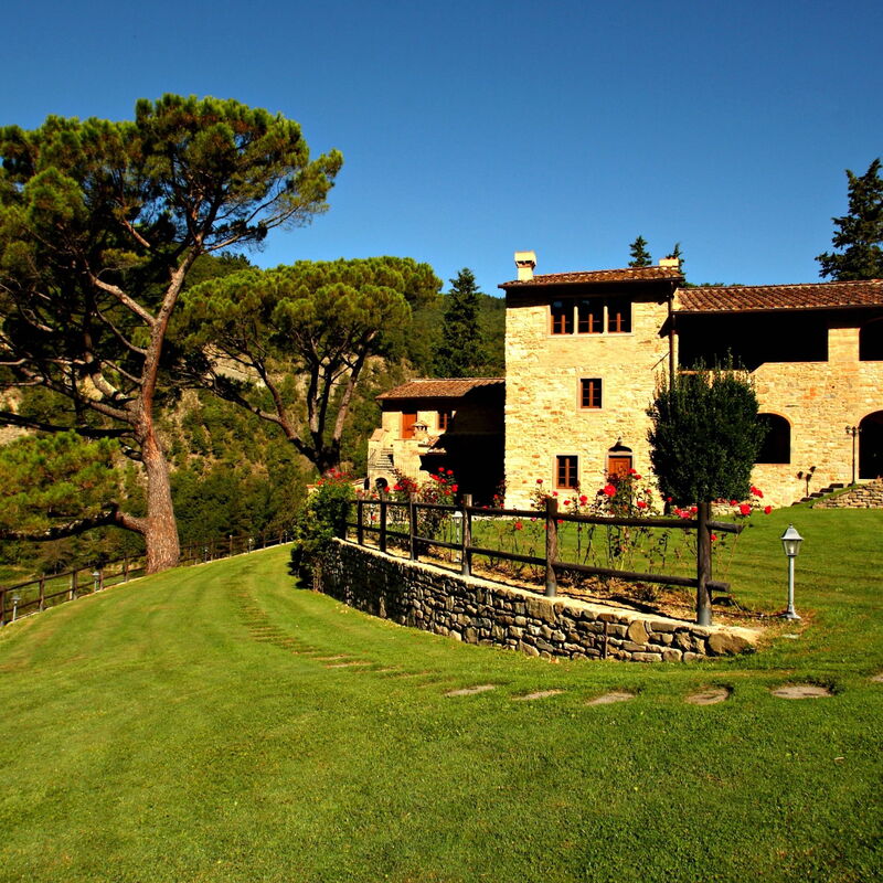 Poggio Marino: Garden