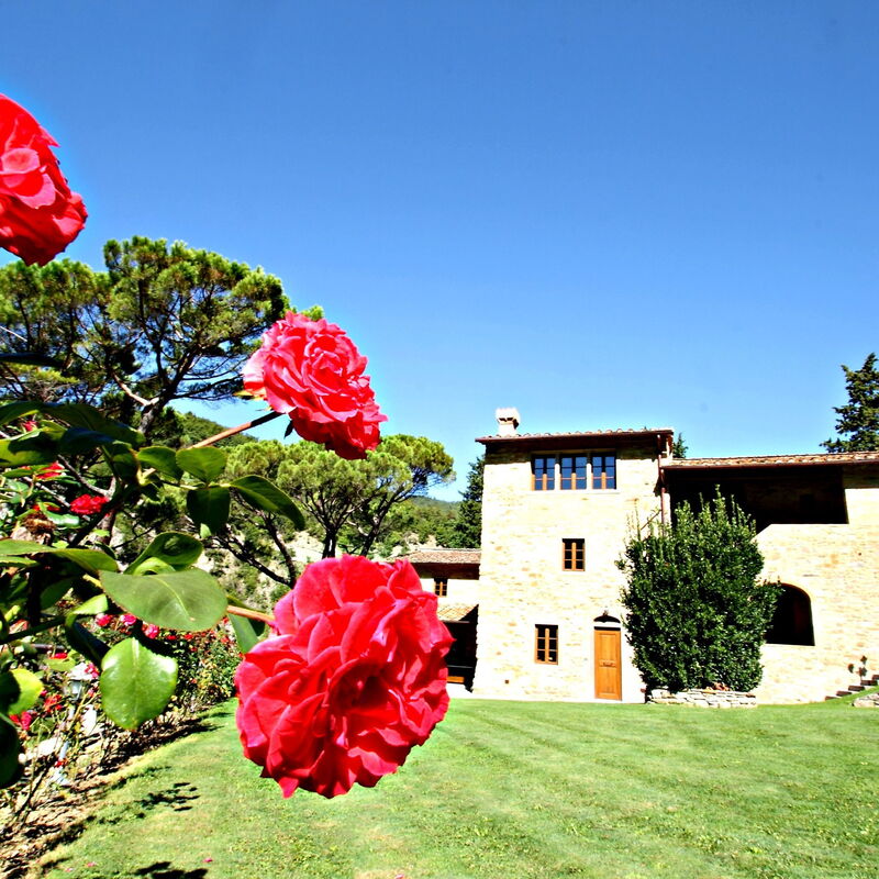 Poggio Marino: Building Exterior