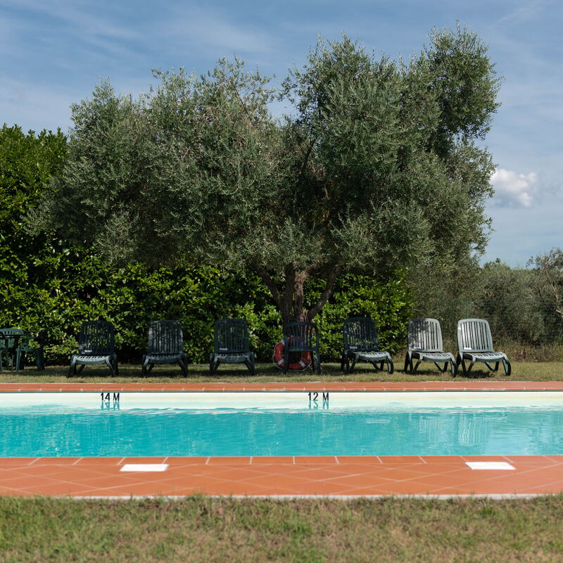 Green Hill Apartment In Tuscan Countryside: Autumn, Building Exterior, Garden, Pool, Spring, Summer, Winter