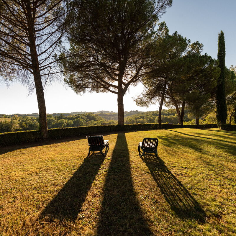 Green Hill Apartment In Tuscan Countryside: Activities, Autumn, Building Exterior, Garden, Outdoor, Scenic View, Spring, Summer, Winter