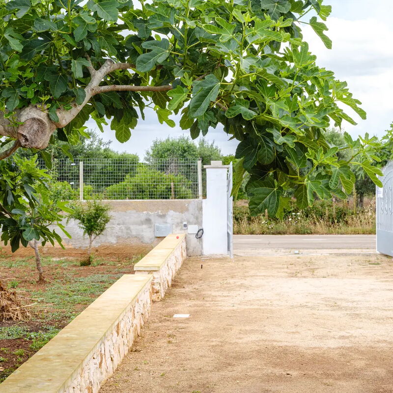 Casa Tramonto, Ac, Wifi, Torre Lapillo: Autunno, Estate, Giardino, Primavera