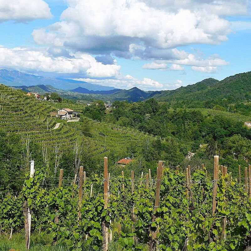 Villa Montello Pool, Jacuzzi, Ac, Wifi, Treviso: Activities, Autumn, Building Exterior, Spring, Summer