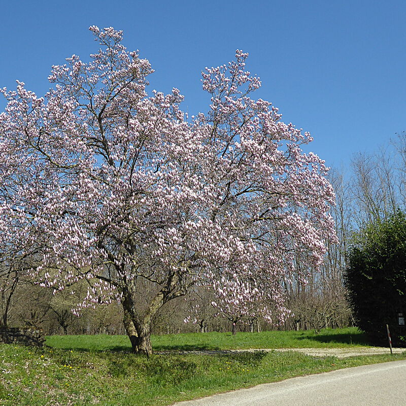 Villa Montello Pool, Jacuzzi, Ac, Wifi, Treviso: Activities, Autumn, Building Exterior, Spring, Summer