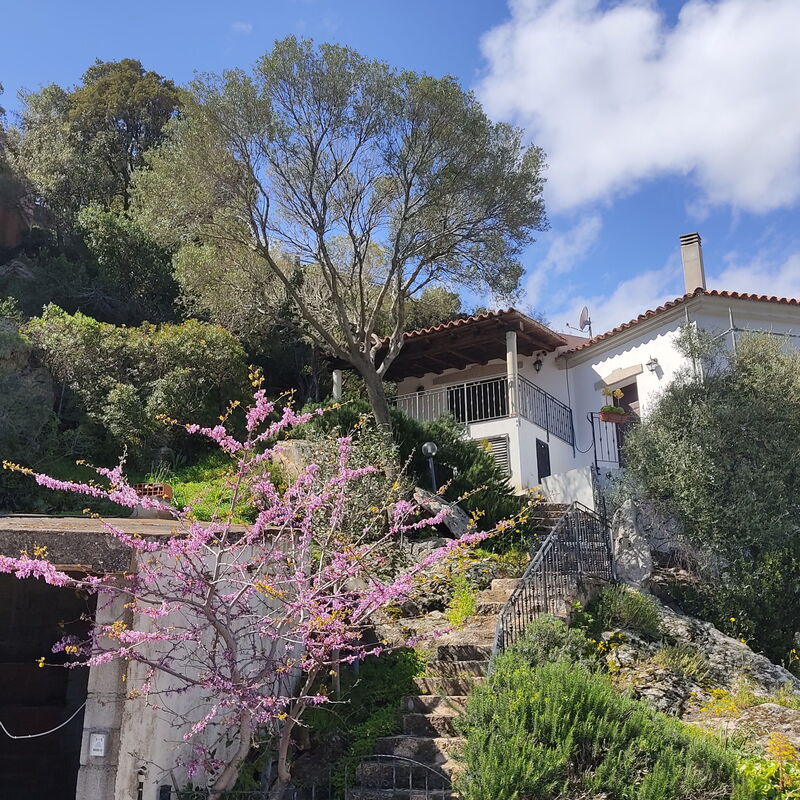 Belvedere Apartment Ac, Budoni: Autumn, Main Entrance, Spring, Summer