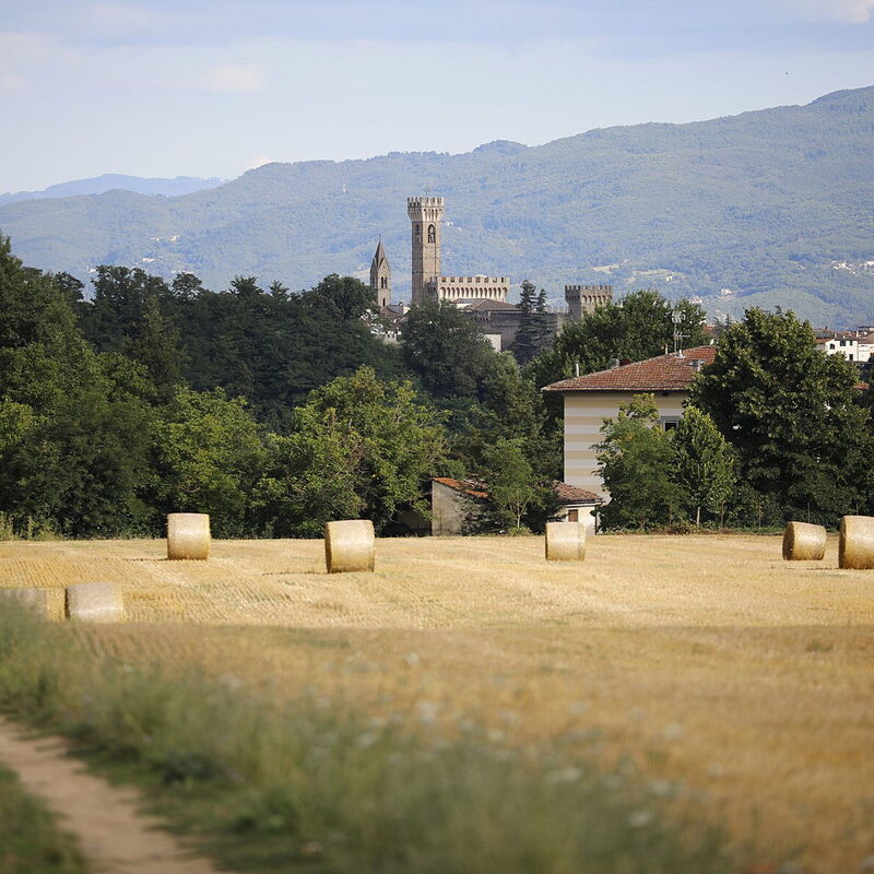 Villa Agata: Outdoor