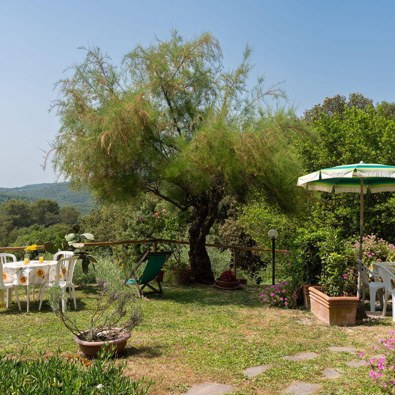 Casa Ceneruzzi: Außen, Draussen, Garten