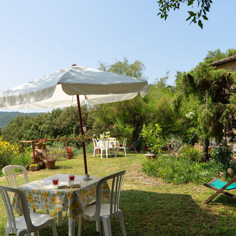 Casa Ceneruzzi: Außen, Draussen, Garten