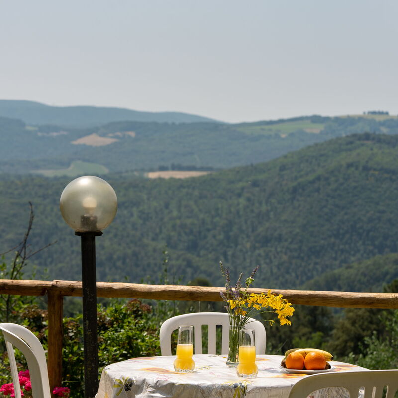 Casa Ceneruzzi: Ansichten, Außen, Draussen, Garten