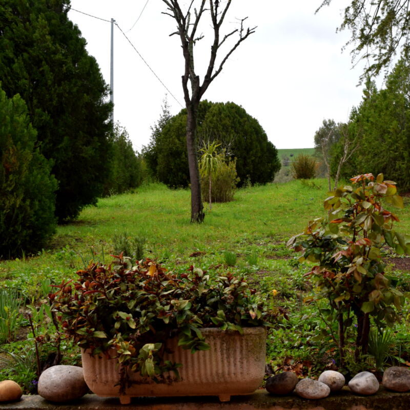 Casa Carletto, Abruzzo: Autunno, Estate, Esterni, Primavera