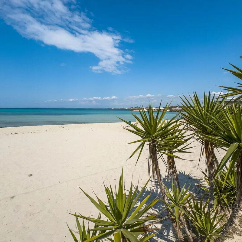 Casa Callisto, Ac, Vicino Al Mare: Autumn, Building Exterior, Spring, Summer