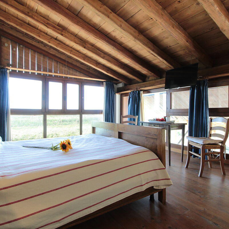 Venice Photobirding, Nature And Culture: Autumn, Bedroom, Spring, Summer