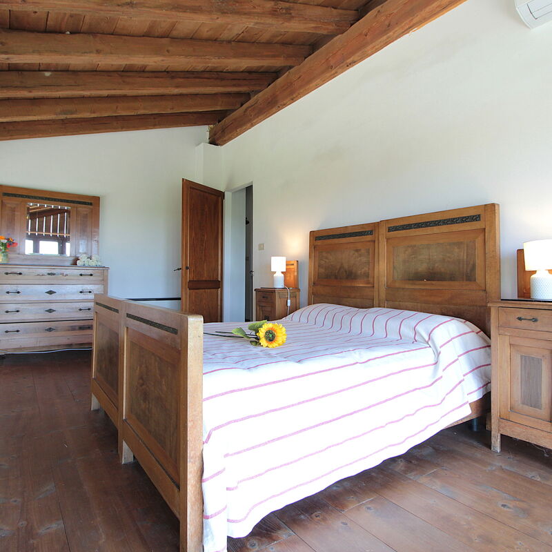 Venice Photobirding, Nature And Culture: Autumn, Bedroom, Spring, Summer