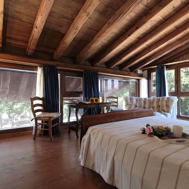 Venice Photobirding, Nature And Culture: Autumn, Bedroom, Spring, Summer