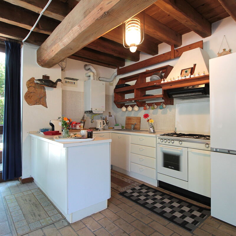 Venice Photobirding, Nature And Culture: Autumn, Kitchen, Spring, Summer