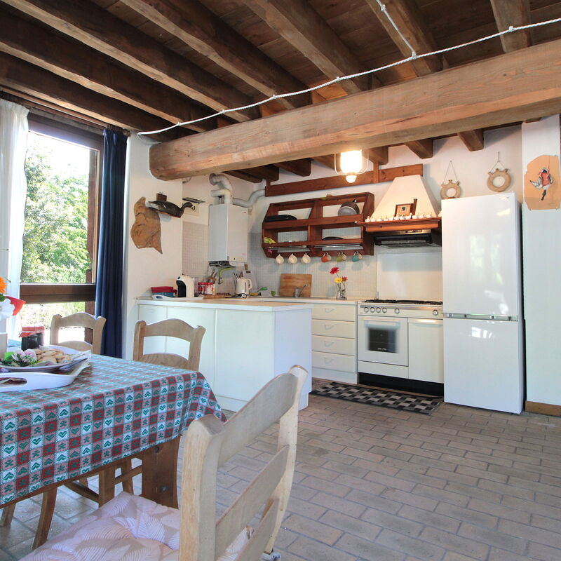 Venice Photobirding, Nature And Culture: Autumn, Kitchen, Spring, Summer