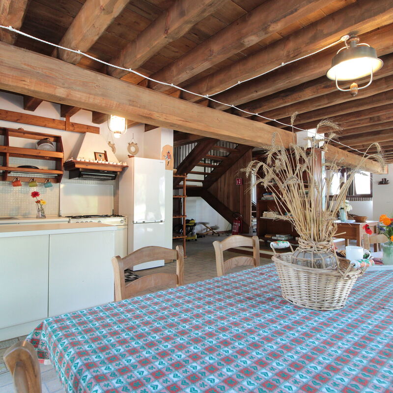 Venice Photobirding, Nature And Culture: Autumn, Kitchen, Spring, Summer