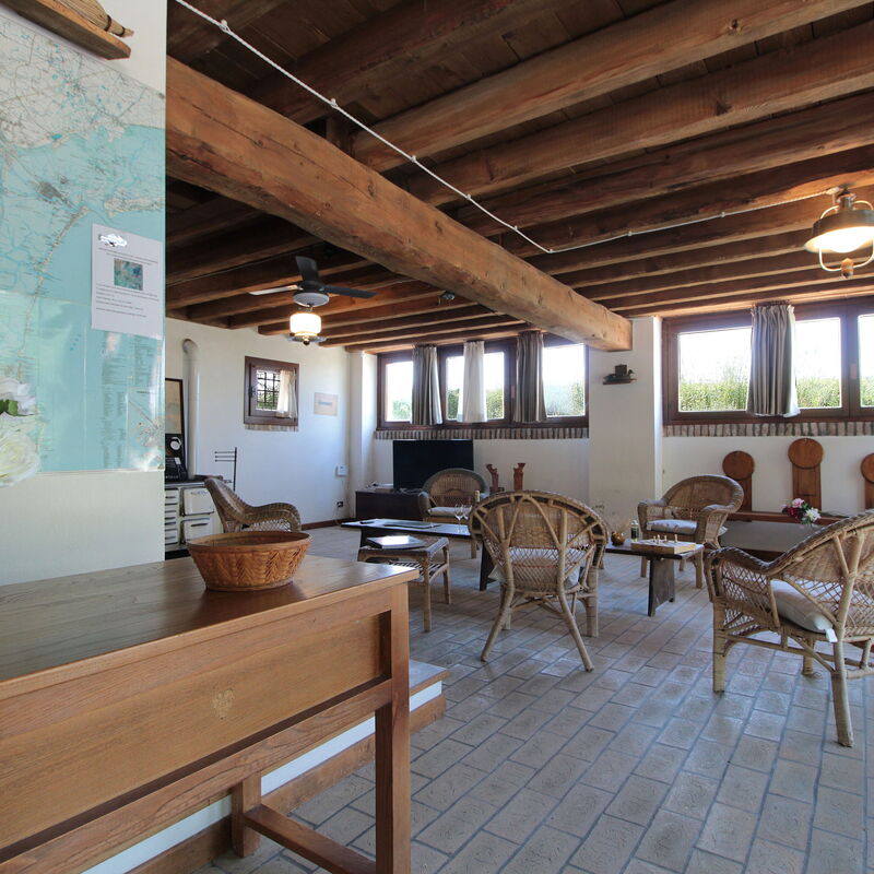 Venice Photobirding, Nature And Culture: Autumn, Living Room, Spring, Summer