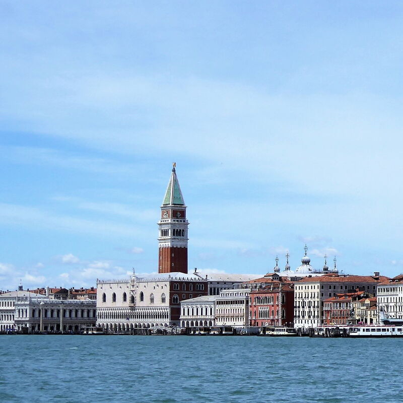Venice Photobirding, Nature And Culture: Activities, Autumn, Outdoor, Spring, Summer