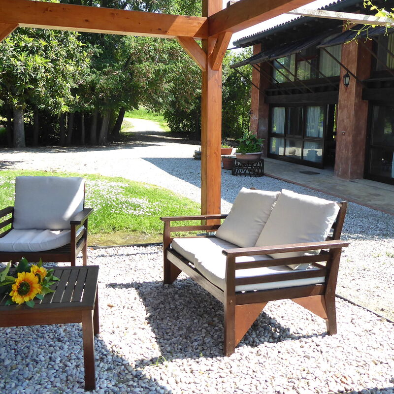 Venice Photobirding, Nature And Culture: Autumn, Garden, Spring, Summer