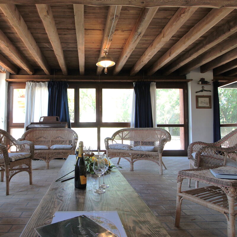 Venice Photobirding, Nature And Culture: Autumn, Living Room, Spring