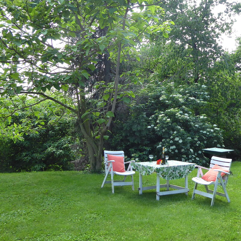 Casa Ballo delle Streghe, Garden, Montebelluna: Autumn, Garden, Spring, Summer