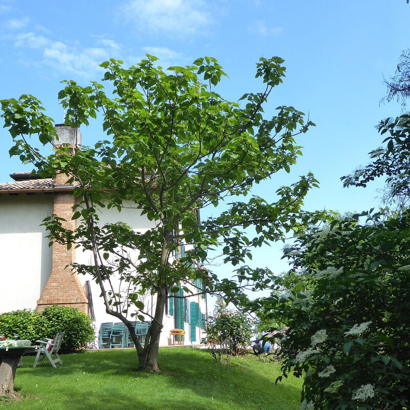Casa Ballo delle Streghe, Garden, Montebelluna: Autumn, Building Exterior, Garden, Spring, Summer