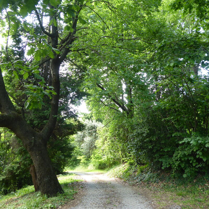 Casa Ballo delle Streghe, Garden, Montebelluna: Autumn, Building Exterior, Garden, Spring, Summer
