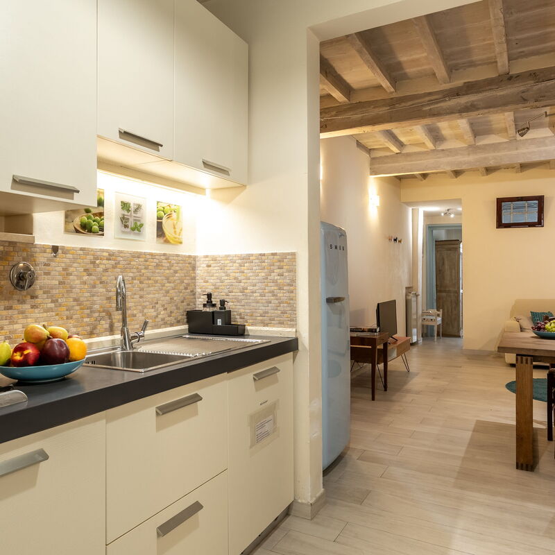 San Cristofano Blu Apartment Santa Croce, Florence: Autumn, Kitchen, Spring, Summer