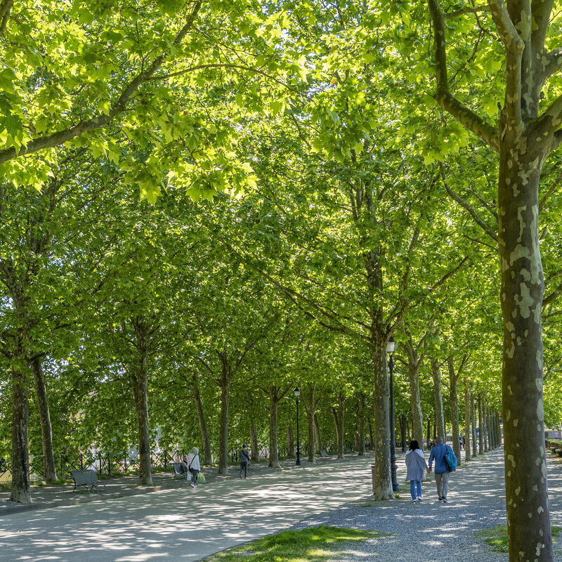 Casa Gioia In Lucca: Activities, Autumn, Outdoor, Spring, Summer