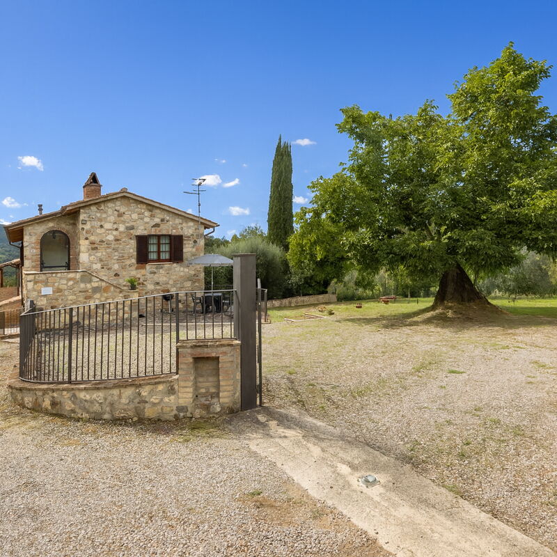 Oliveto Del Cantarello: Autumn, Garden, Spring, Summer