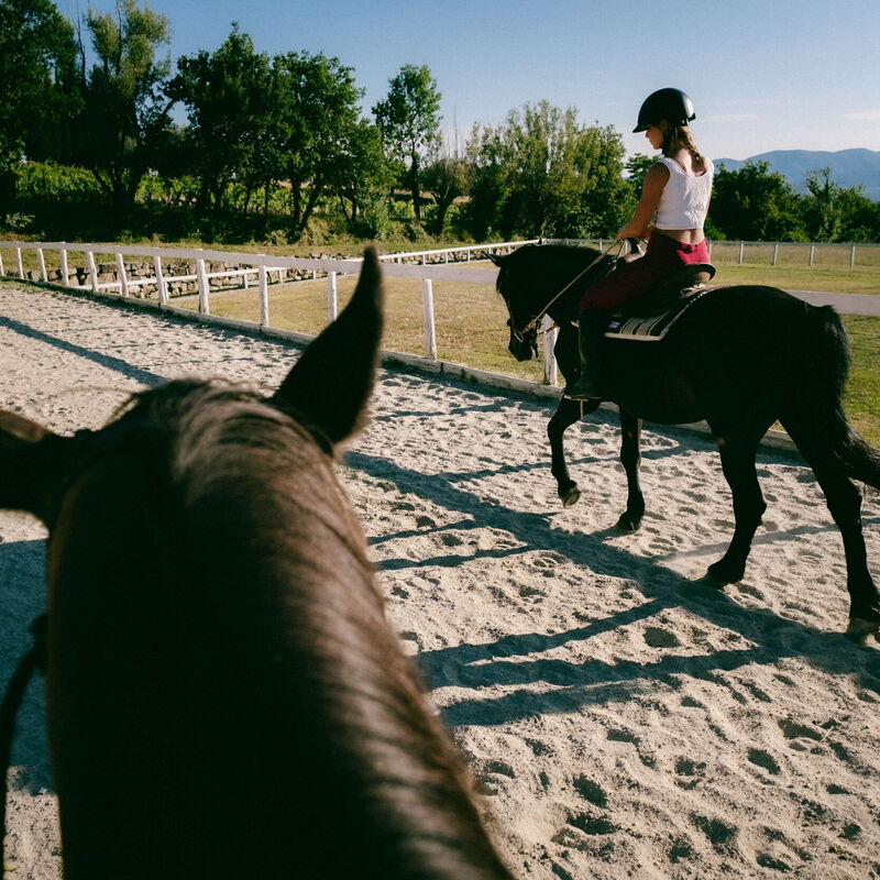 La Piazza Di San Donato: la-piazza-di-san-donato-reggello-multiproperty-horses
