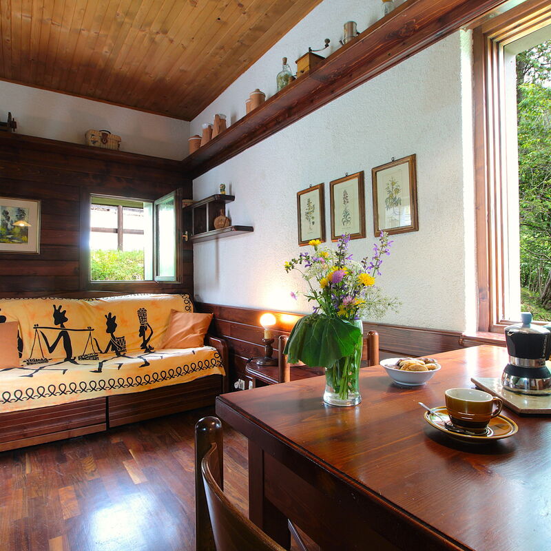 Chalet Giove: Autumn, Living Room, Spring, Summer