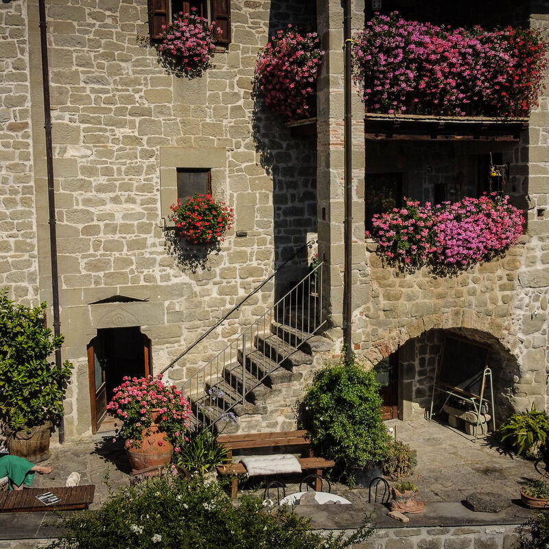 Agriturismo Arcera: Autunno, Entrata Principale, Estate, Primavera