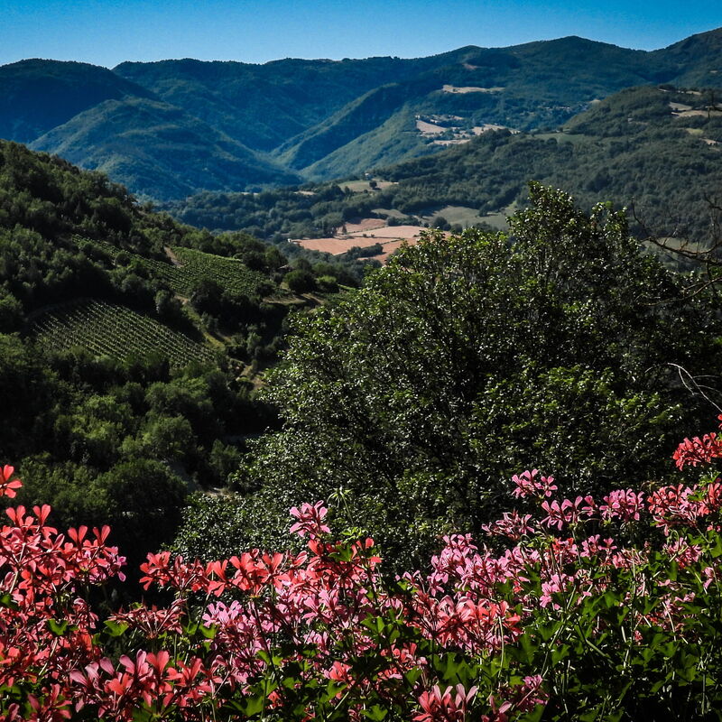 Agriturismo Arcera: Autunno, Estate, Esterni, Primavera