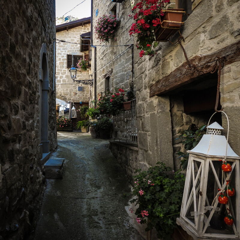 Agriturismo Arcera: Autunno, Estate, Esterni, Primavera