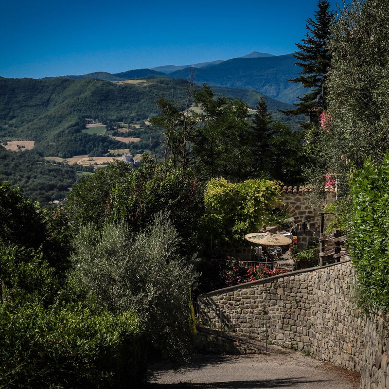 Agriturismo Arcera: Autunno, Estate, Esterni, Primavera