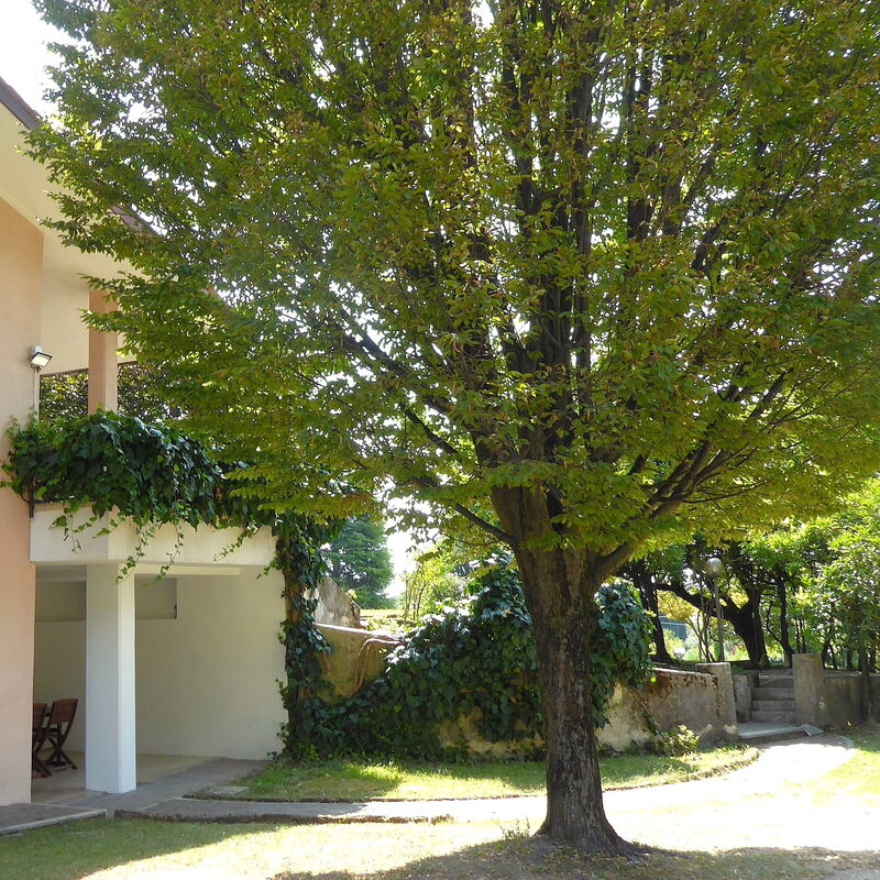Villa Rosa Apartment: Autumn, Main Entrance, Spring, Summer