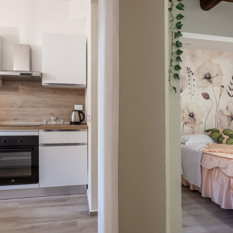 Carmine Apartment San Frediano: Autumn, Bedroom, Kitchen, Spring, Summer